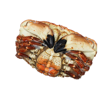 Load image into Gallery viewer, Devon Crab (Whole Cooked)