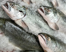 Load image into Gallery viewer, Fresh Whole NZ King Salmon (Gilled & Gutted)