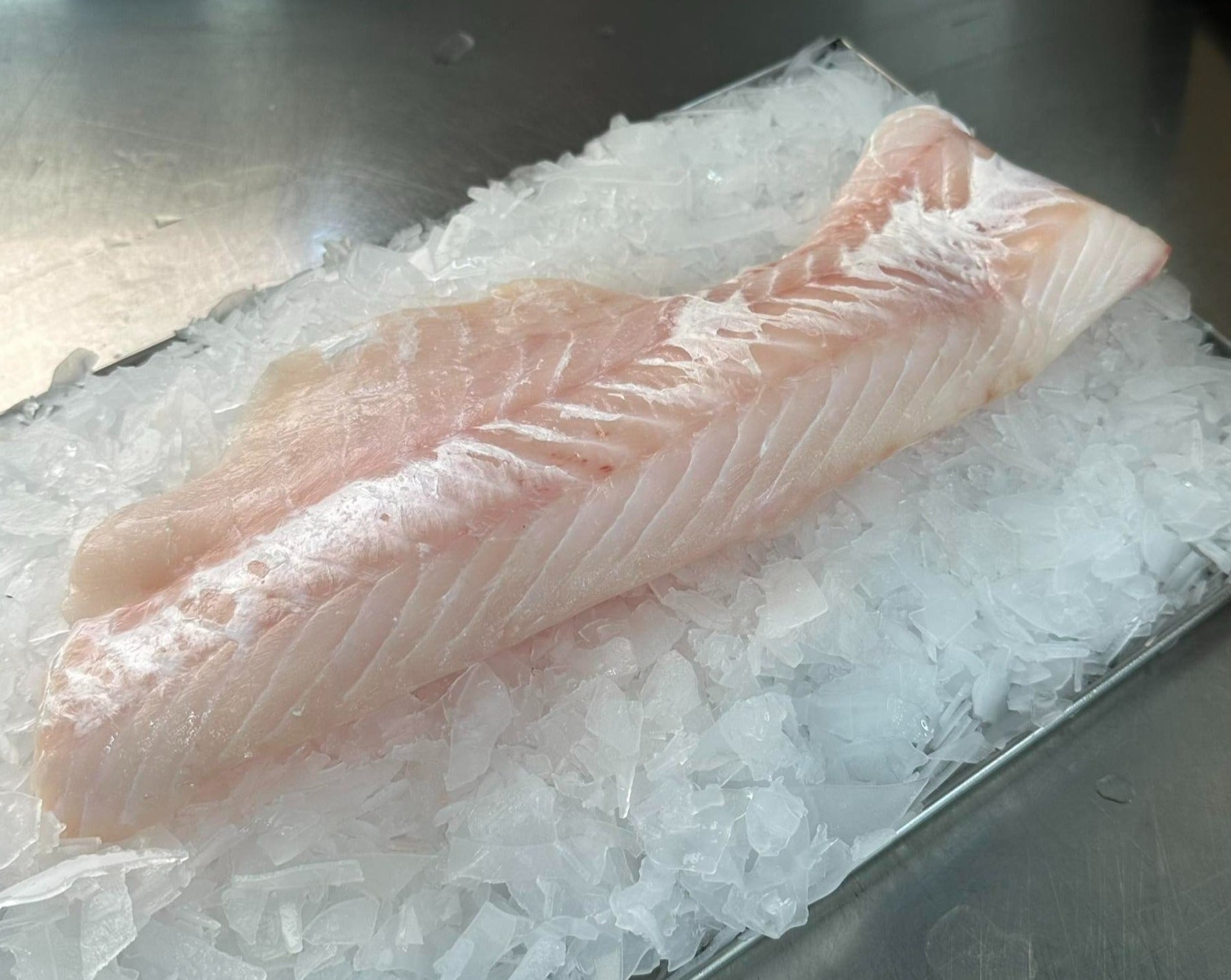 Fresh Ling Fillet 250G – Scott Seafood