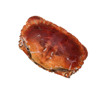 Load image into Gallery viewer, Devon Crab (Whole Cooked)