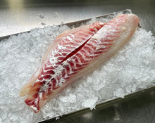 Load image into Gallery viewer, Fresh Snapper Fillets

