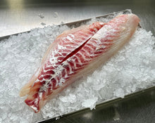 Load image into Gallery viewer, 5KG Fresh NZ Snapper Fillets