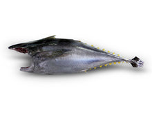 Load image into Gallery viewer, Fresh Yellowfin Tuna Whole H&G (10KG)