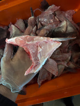 Load image into Gallery viewer, Hapuka Grouper Wings Frozen