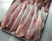 Load image into Gallery viewer, 5KG Jap Gurnard Fillets (Skinned and Boned) Frozen