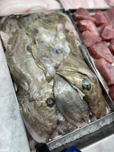 Load image into Gallery viewer, 5KG John Dory Fillets (De-Boned & Skin On) Frozen