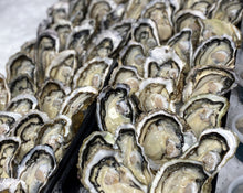 Load image into Gallery viewer, Frozen Half Shell Pacific Oyster Box