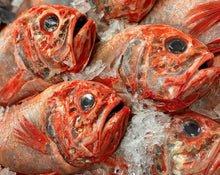 Load image into Gallery viewer, Fresh Orange Roughy Whole