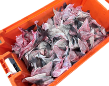 Load image into Gallery viewer, Hapuka Grouper Wings Frozen