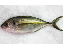Load image into Gallery viewer, 5KG Whole NZ Trevally Frozen