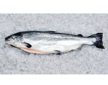 Load image into Gallery viewer, Fresh Whole NZ King Salmon (Gilled & Gutted)