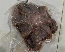 Load image into Gallery viewer, Octopus Wild Caught Whole Frozen