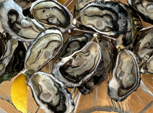 Load image into Gallery viewer, Xmas Seafood Hamper Bundle