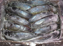 Load image into Gallery viewer, 5KG Whole NZ Trevally Frozen