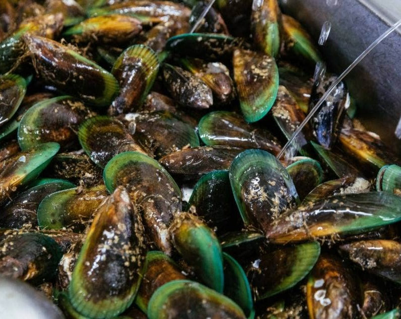 Live Greenshell Mussels 1kg
