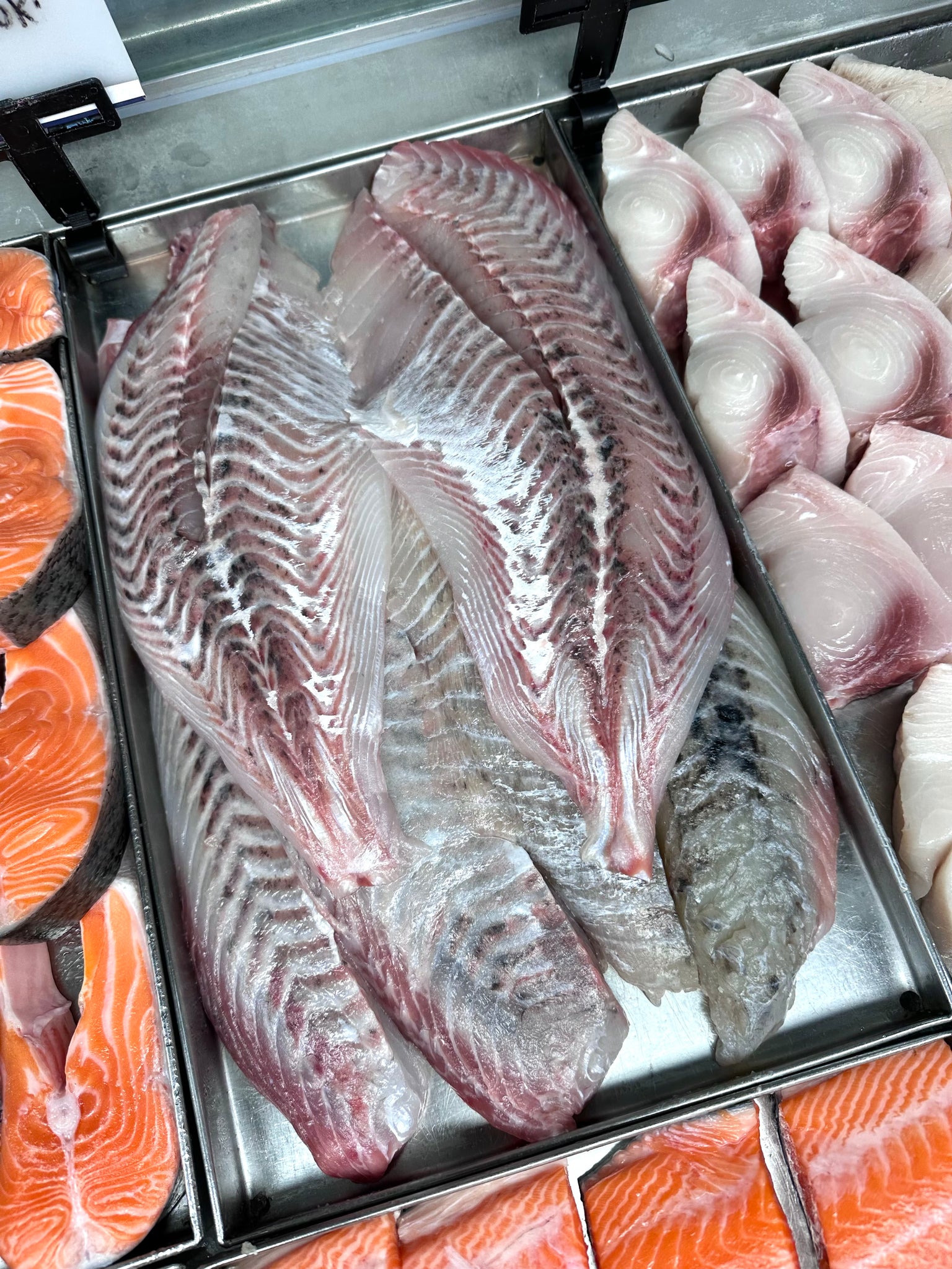 5KG Blue Moki Fillets Frozen (Skinless & Boneless) – Scott Seafood