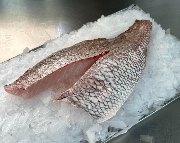 Fresh Snapper Fillets (Skin on & Boneless)