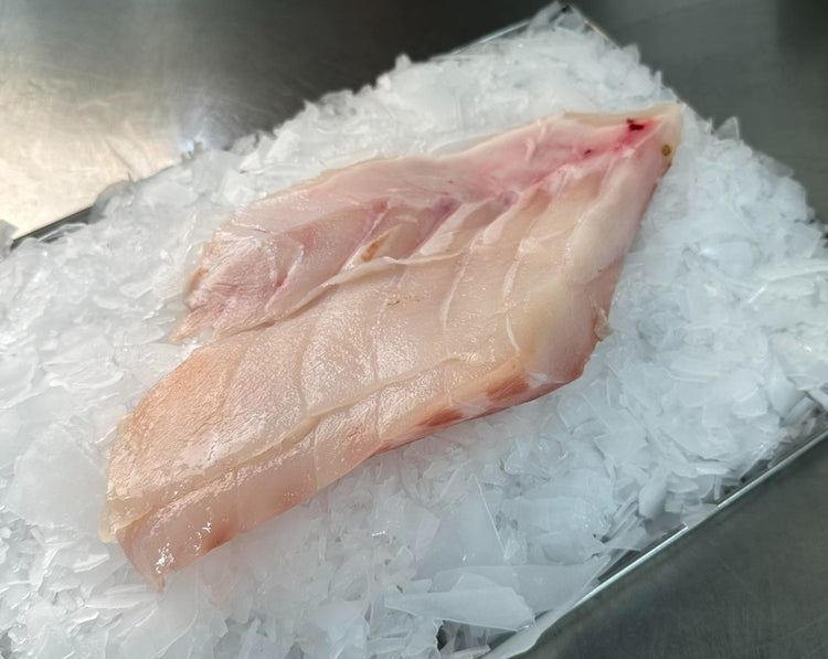 Fresh Bluenose Fillet 250G