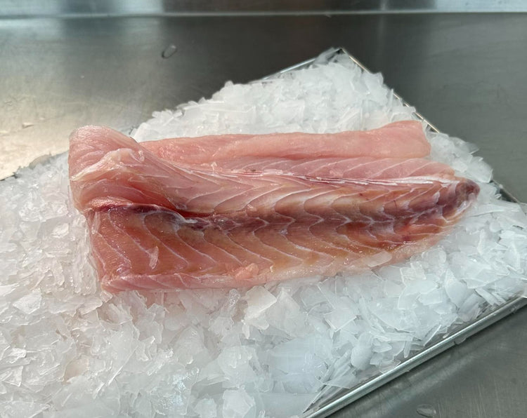 Fresh Silver Gemfish Fillet
