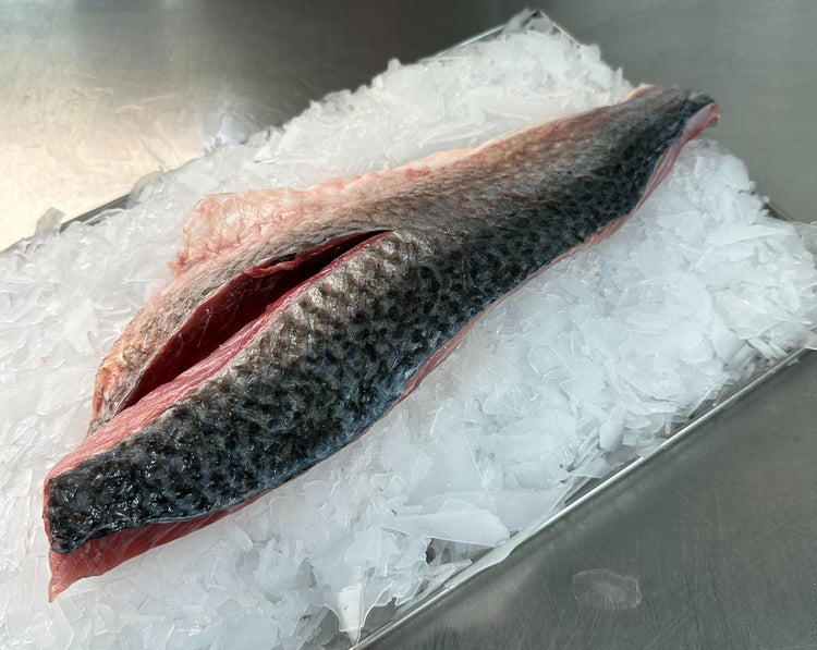 Fresh Kahawai Fillets
