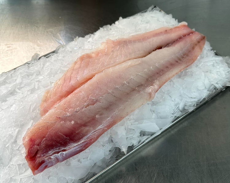 Fresh Blue Moki Fillet