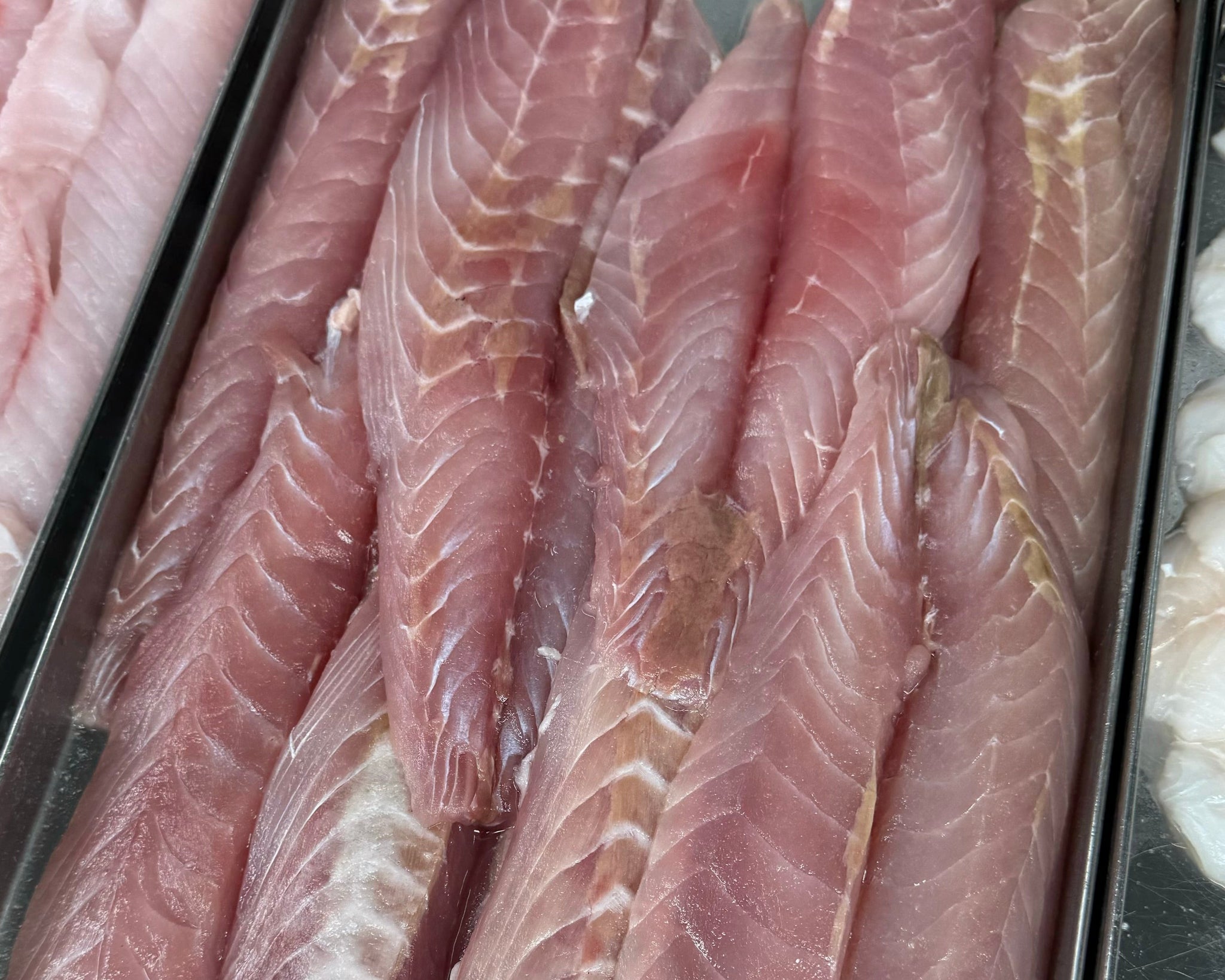Frozen Ruby 5KG Ruby Fillets Frozen (Skinless & Boneless) – Scott Seafood