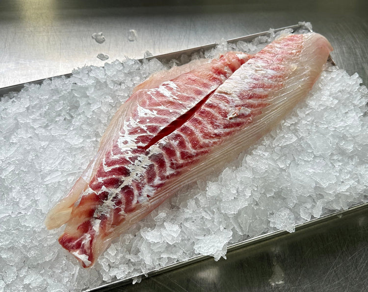 5KG Fresh NZ Snapper Fillets
