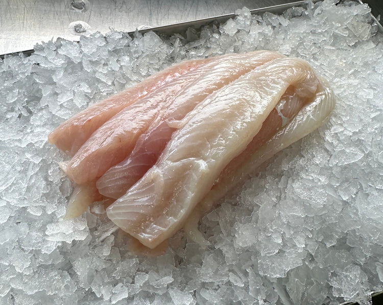 Fresh Blue Cod Fillets