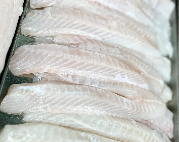 5KG Blue Cod Fillets Frozen (Skinned and Boned)