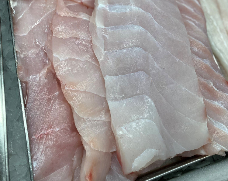 5KG Bluenose Fillets (Skinned and Boned) Frozen