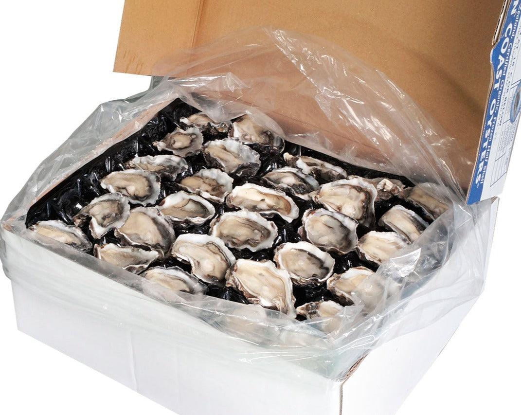 Frozen Half Shell Pacific Oyster Box