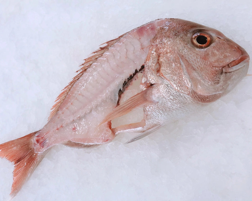 Fresh Snapper Heads & Frames 1KG (Pick Up Only) – Scott Seafood