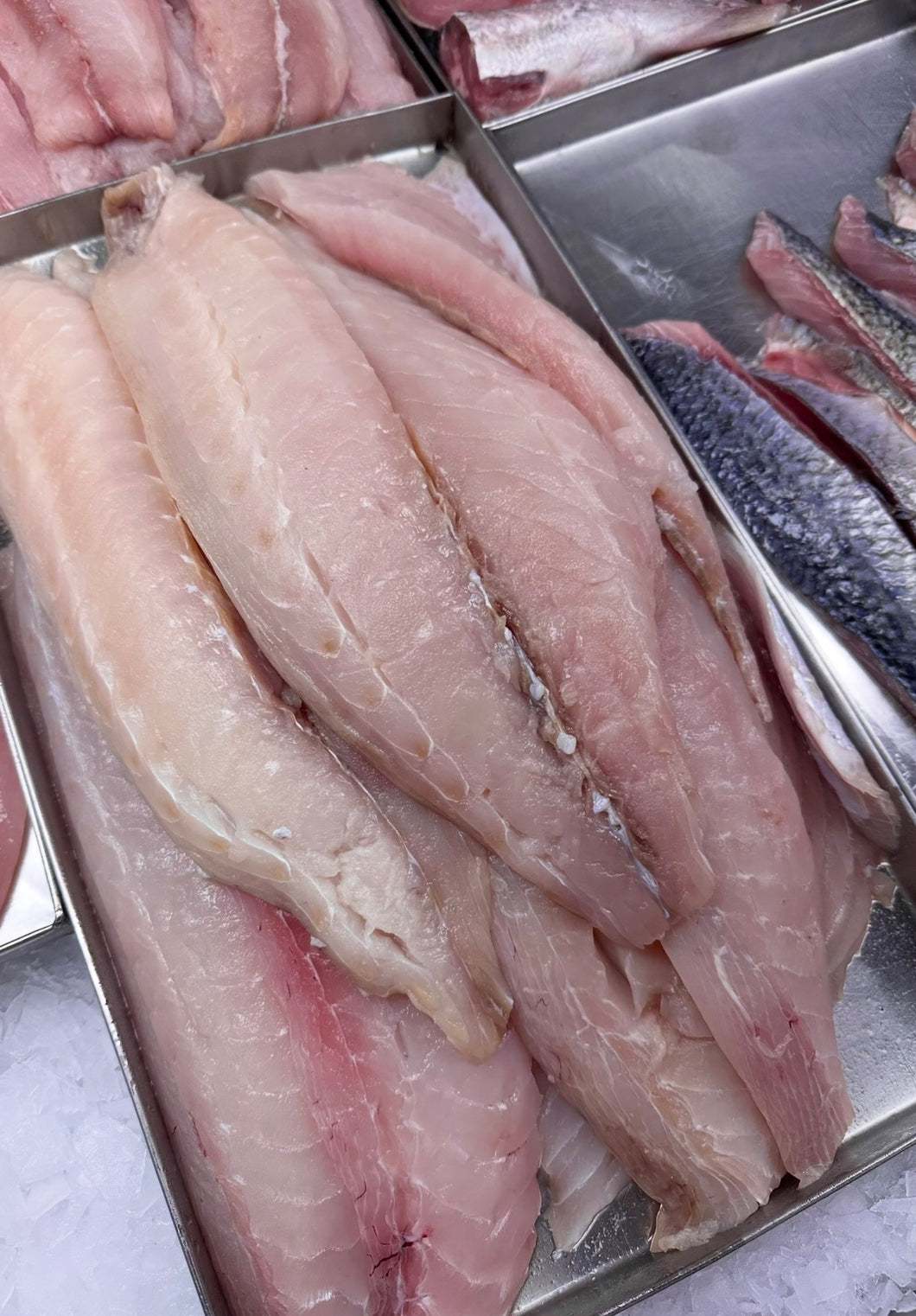 5KG Warehou Fillets (Skinless & Boneless) Frozen