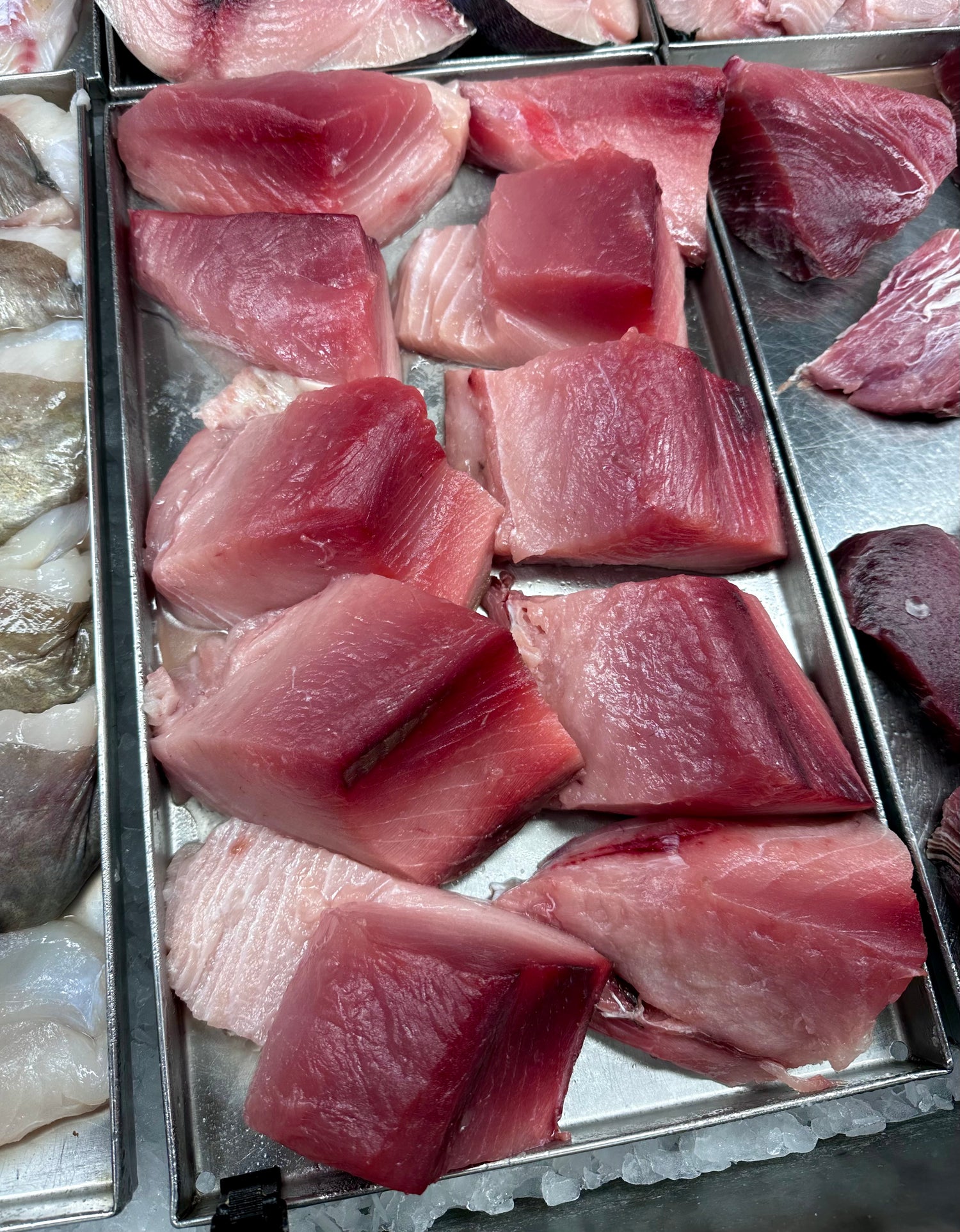 Fresh Albacore Tuna Loin
