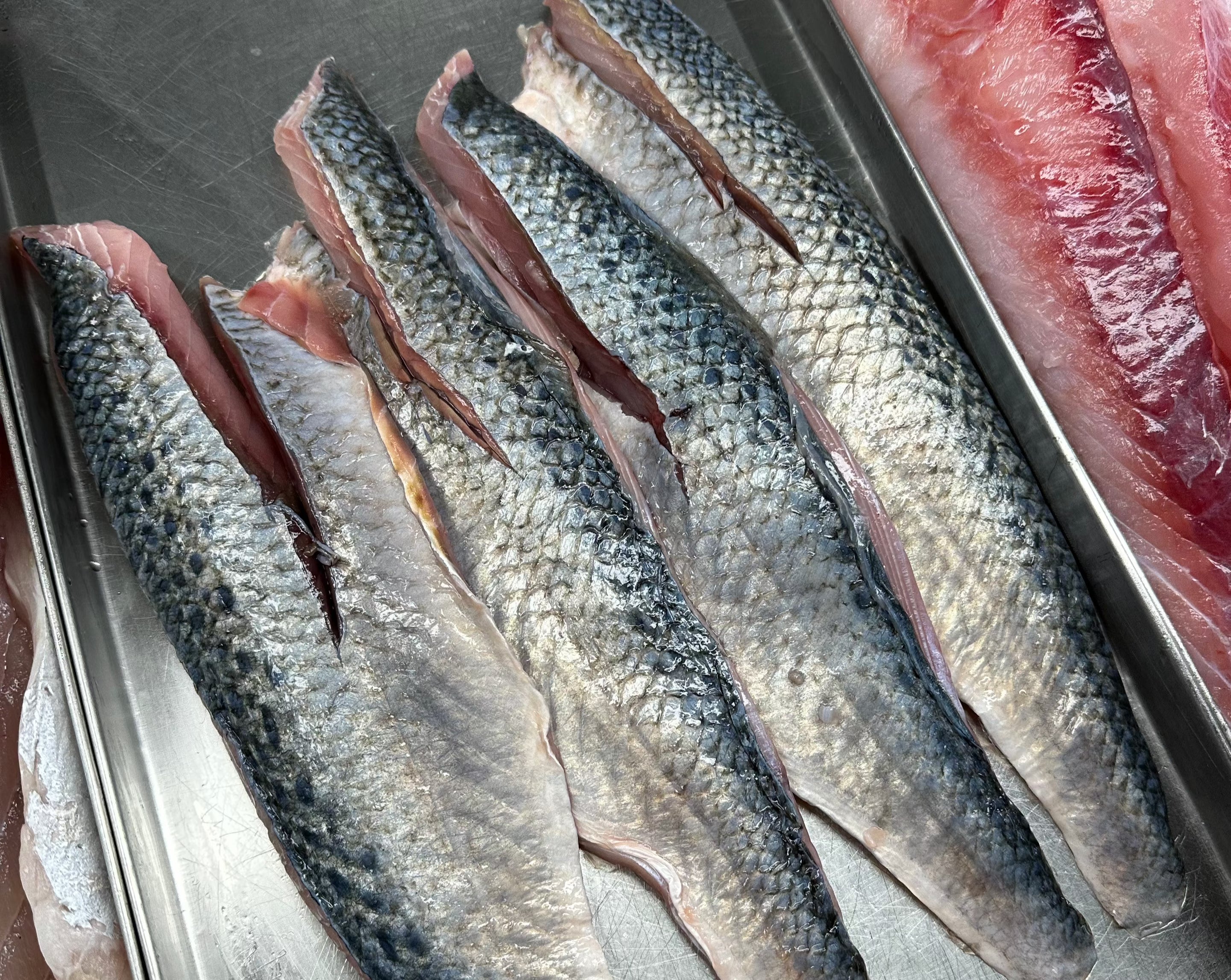 5KG Kahawai Fillets (Skin on & Boneless) Frozen