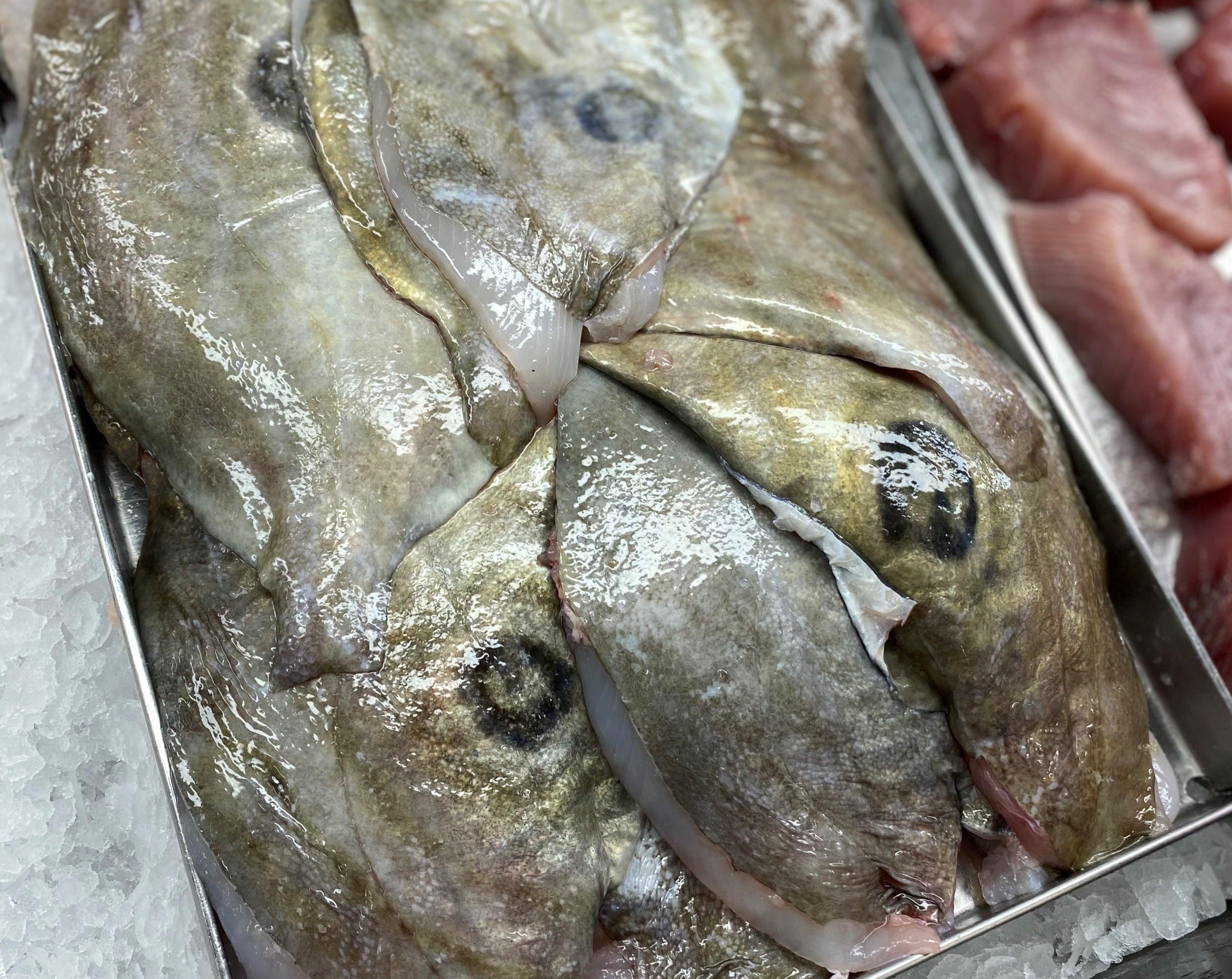 5KG John Dory Fillets (De-Boned & Skin On) Frozen