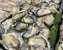 Load image into Gallery viewer, Fresh Oysters 120 x MEDIUM Half Shell (10 Dozen)
