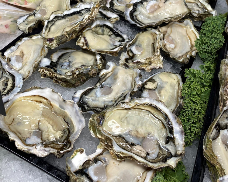 Frozen Half Shell Pacific Oyster Box