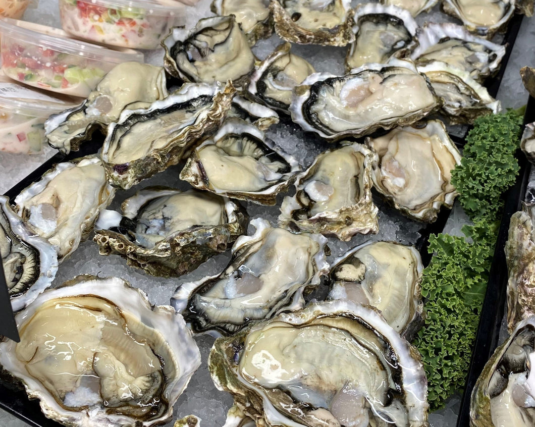 Fresh Oysters 120 x MEDIUM Half Shell (10 Dozen)