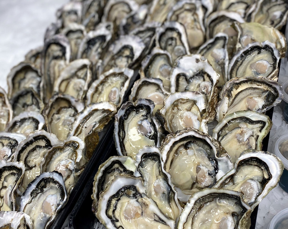 Frozen Half Shell Pacific Oyster Box