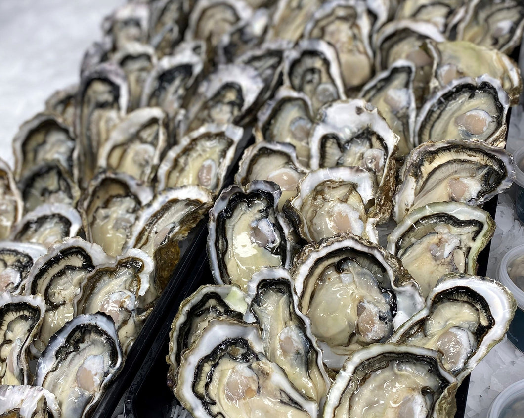 Frozen Half Shell Pacific Oyster Box