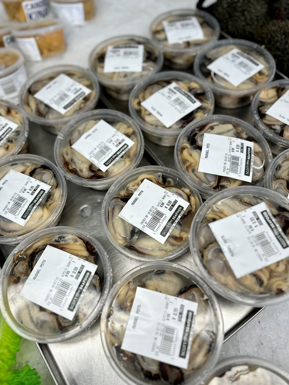 Fresh Mussel Meat Pot