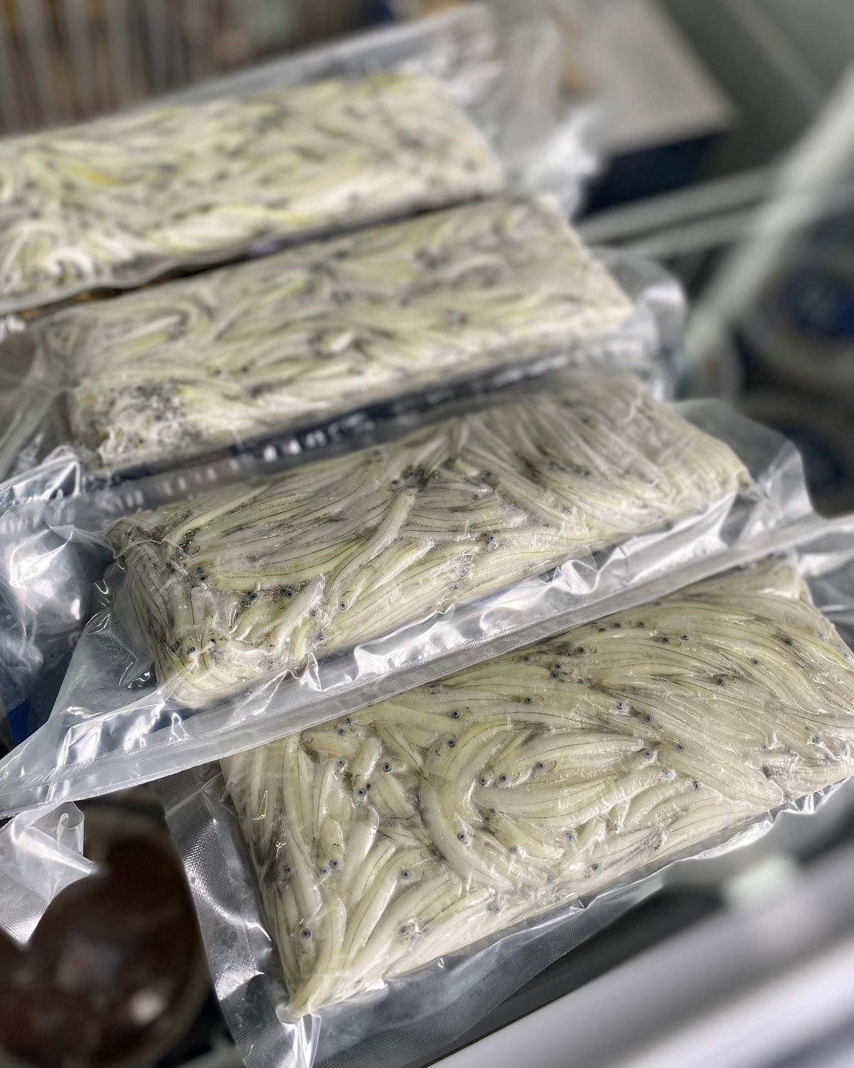 Whitebait NZ (Westcoast) Frozen