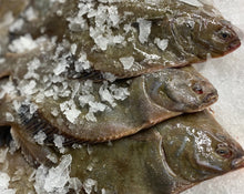 Load image into Gallery viewer, 5KG Flounder (Frozen) Gilled and Gutted
