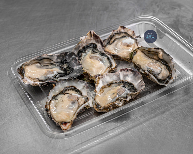 Fresh NZ Oysters (Half-Shell)