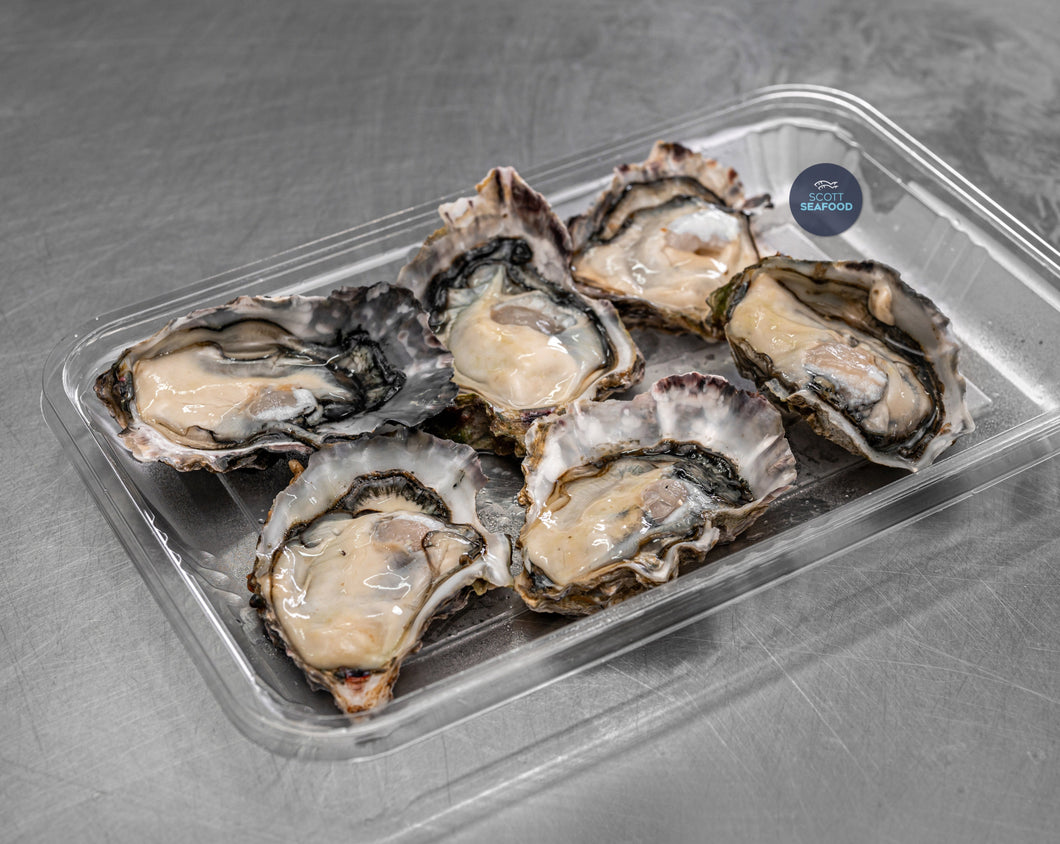 Fresh Medium Half Shell Oysters - 6 pieces **FREE GIFT**