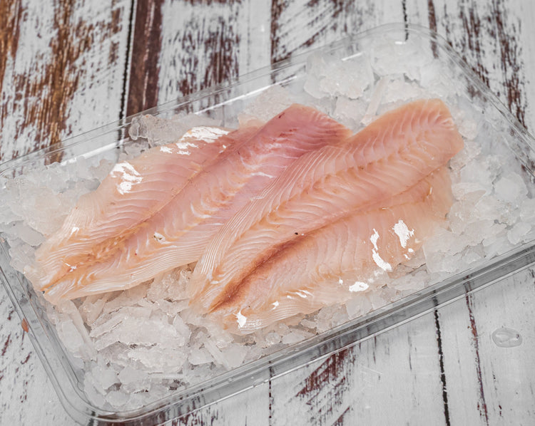 Fresh Tarakihi Fillets