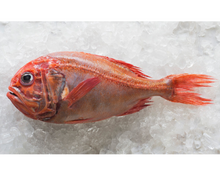 Load image into Gallery viewer, Fresh Orange Roughy Whole
