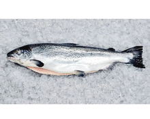 Load image into Gallery viewer, Fresh Whole NZ King Salmon (Gilled &amp; Gutted)
