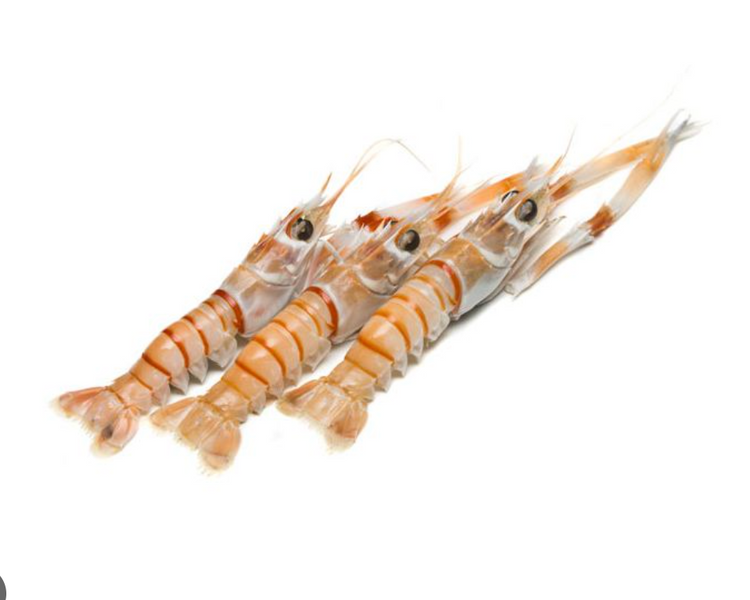 Scampi Whole NZ (A Grade) Small